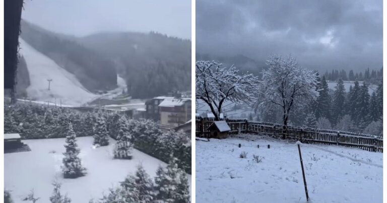 Зима Повернулася до України: Карпати Засипало Снігом, Морози Шокували Весняним Подихом!