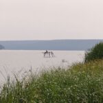 Підступний план Росії: чому ворог атакує Печенізьку дамбу