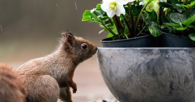 Негода в Україні: прогнозують заморозки, штормовий вітер та сніг – будьте готові!