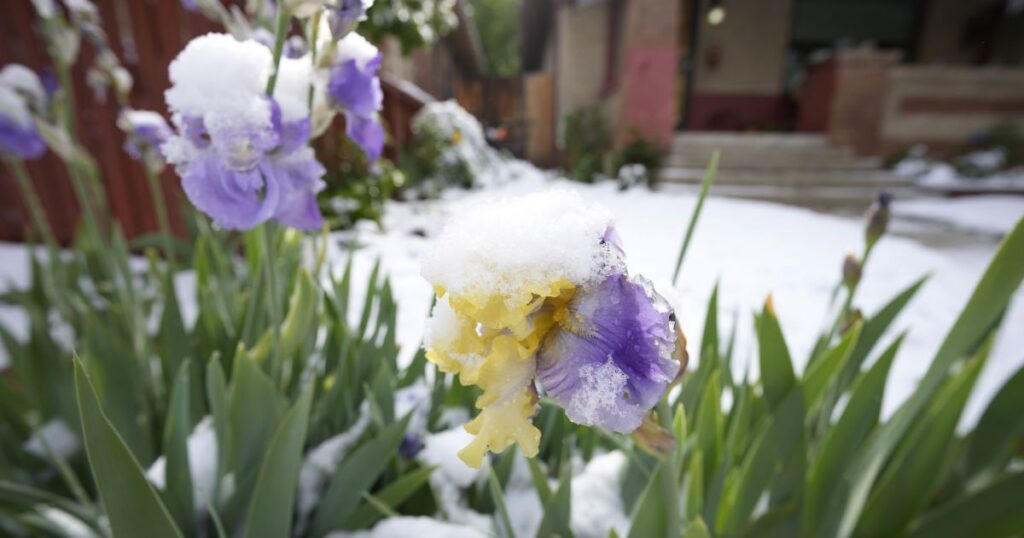 Різке похолодання, шквальний вітер та заморозки: у яких регіонах в України синоптики оголосили про небезпеку