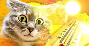 Чи загрожують нам найгірші відключення світла влітку: прогноз експертів