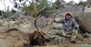 Полював на антилопу, а зустрів розлючене стадо слонів: у Габоні загинув мільйонер зі США