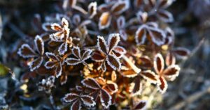 Над Україною знову збираються хмари: синоптики попереджають про сильні заморозки та негоду!