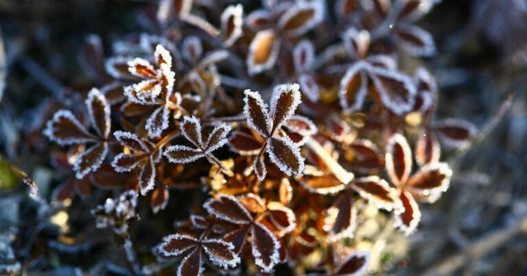 Над Україною знову збираються хмари: синоптики попереджають про сильні заморозки та негоду!