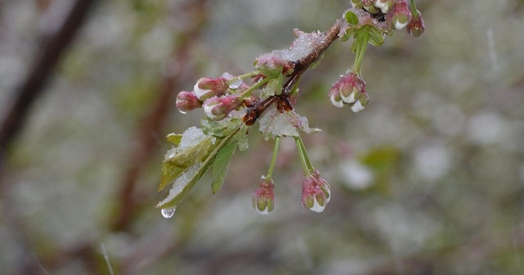 Небезпечний удар стихії накриває Україну: синоптики розповіли, де стане ще холодніше і піде сніг