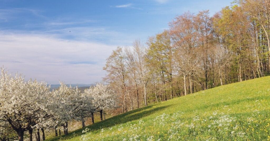 Прогноз погоди 15 квітня в Україні: синоптики розповіли, де будуть заморозки та шквальний вітер — Укрaїнa