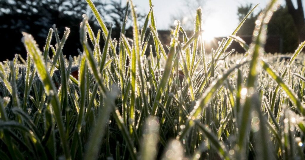 Україну накриває ще одна небезпечна стихія, окрім заморозків: де "розгуляється" негода (мапа)