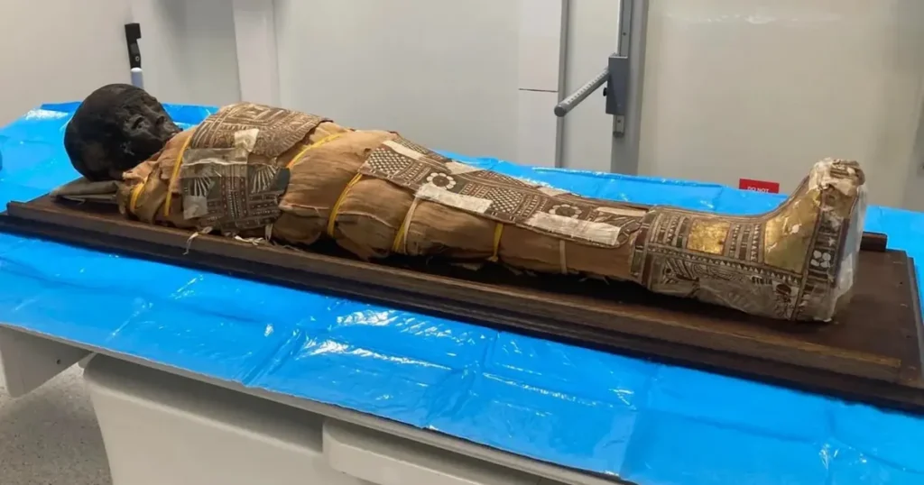 Сканування мумії дитини показало прихований предмет — деталі — Наука та IT Сканування мумії дитини показало прихований предмет — деталі — Наука та IT