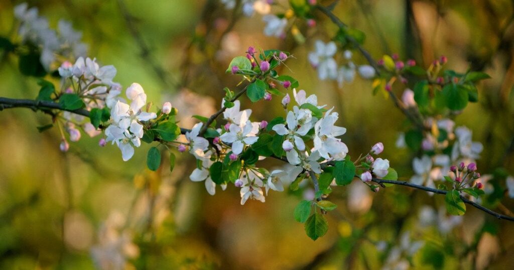 Розігріє до +22 градусів: коли до України прийде довгоочікуване потепління
