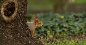 МОРОЗИ ТА МОКРИЙ СНІГ: УКРАЇНУ НАКРИЄ ХОЛОДНИЙ ФРОНТ