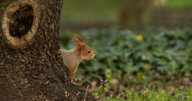 МОРОЗИ ТА МОКРИЙ СНІГ: УКРАЇНУ НАКРИЄ ХОЛОДНИЙ ФРОНТ