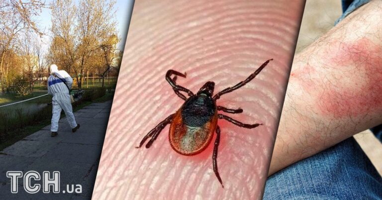 Хвороба Лайма в Києві: як уберегтися від небезпеки та запобігти ускладненням