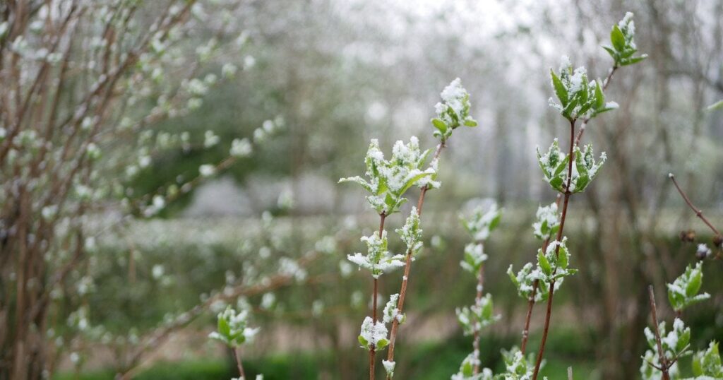 Погода в Україні на 18–20 квітня: синоптики попереджають про грози, арктичний холод та заморозки — Укрaїнa