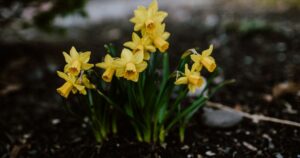 До України йде похолодання – коли чекати і де — Укрaїнa