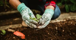 Чи можна працювати в полі у Світлий тиждень: думки священників розділилися — Укрaїнa