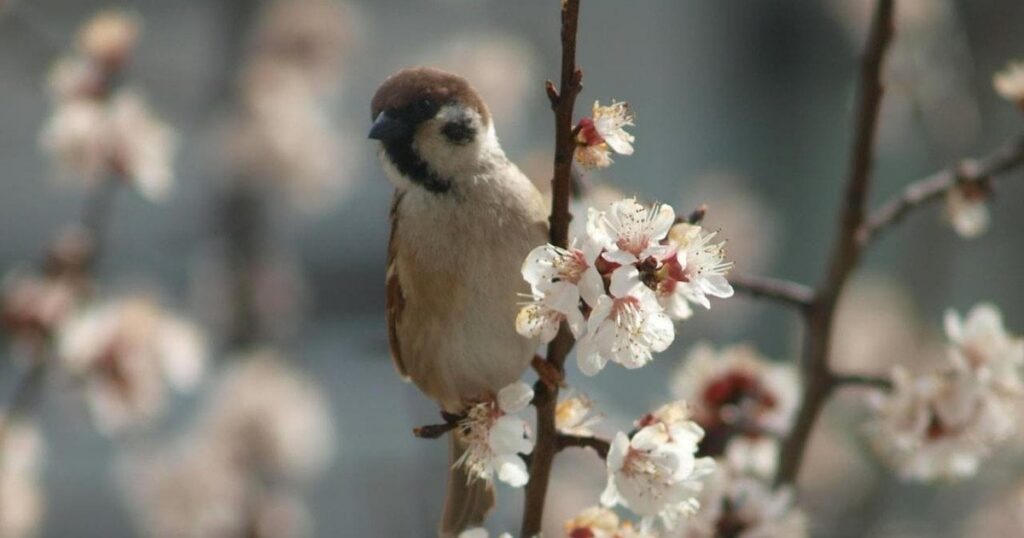 Погода в Україні 14 квітня: синоптики попереджають про заморозки до -5 та сильний вітер — Укрaїнa Погода в Україні 14 квітня: синоптики попереджають про заморозки до -5 та сильний вітер — Укрaїнa