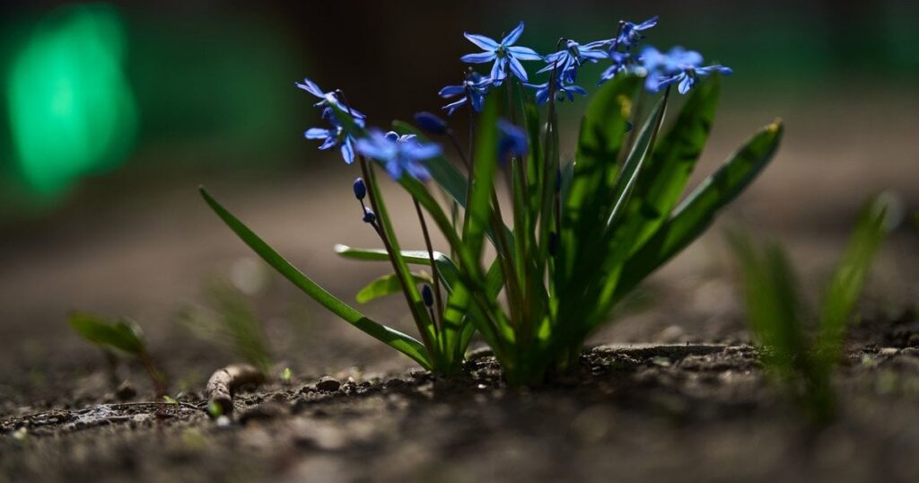 Погода на 13 квітня в Україні: трохи потеплішає, але є неприємний нюанс