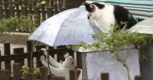 Погода в Україні - коли стане тепліше, яким буде прогноз погоди на 16 квітня — Укрaїнa