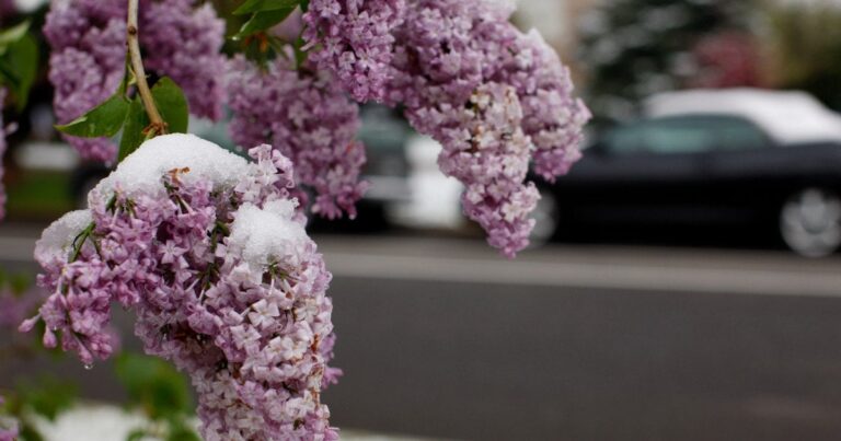 Травень 2026: Несподівано Холодний Старт Літа та Дощі — Детальний Прогноз від Укргідрометцентру