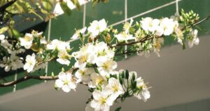 До України нарешті йде тепло: синоптикиня назвала дату різкої зміни погоди