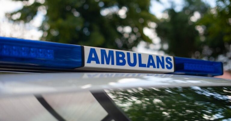 Трагедія в Бородянці: жахлива загибель 11-річного хлопчика накрила громаду скорботою