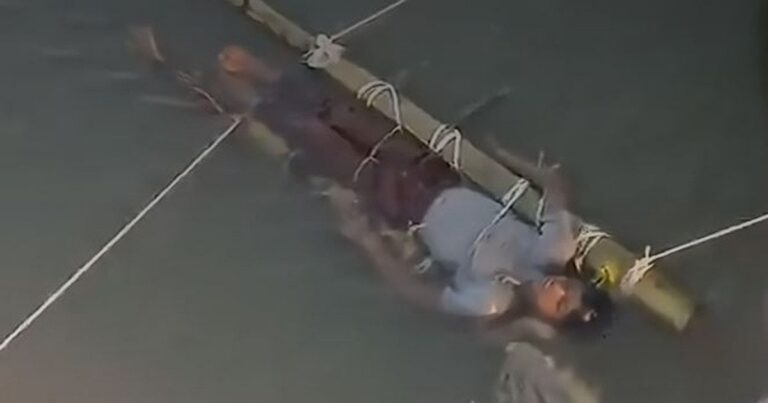 Жахлива трагедія в Індії: 12 годин у річці заради “чуда” – хлопчик помер після укусу змії через забобони