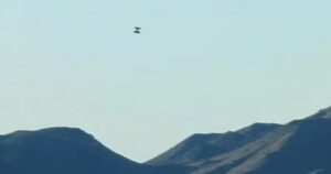 НЛО в Джошуа-Трі — туристи зняли дивний об’єкт біля військових баз під час затемнення — Світ