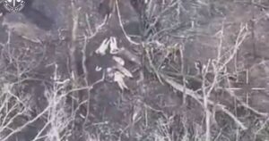 Розстріл українських військовополонених на Харківщині: черговий воєнний злочин РФ