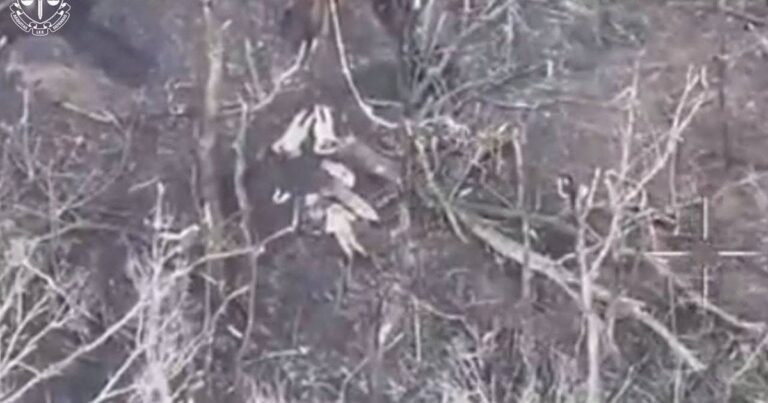 Розстріл українських військовополонених на Харківщині: черговий воєнний злочин РФ