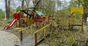 Жахлива Негода на Буковині: Діти Травмовані, Дерева Впали на Дитячий Майданчик!