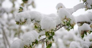 Погода на Великдень: який "сюрприз" очікує українців