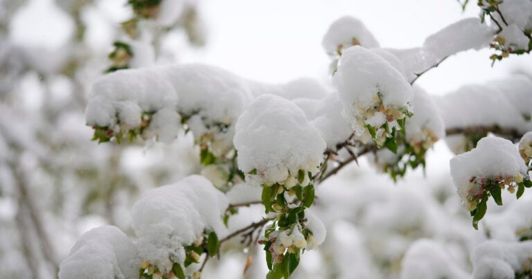 Яка погода буде на Великдень: українців чекають несподіванки