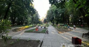 Жорстока ДТП на Львівщині: 10-річний велосипедист збив трирічного малюка – дитина в лікарні, поліція розслідує