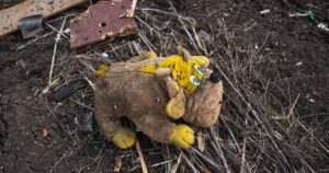 Жорстокий удар по серцях: Трагедія на дитячому майданчику в Херсоні сколихнула всю Україну