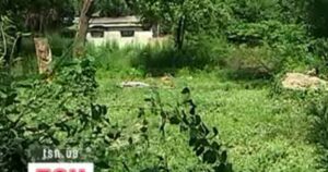 Неоформлені городи під загрозою: хто та за яких умов може втратити землю у 2026 році