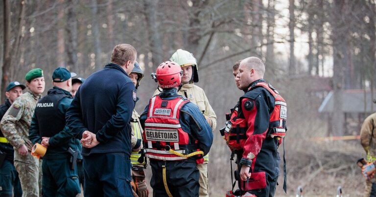 Український дрон упав у Литві: детальний розбір інциденту та його наслідки