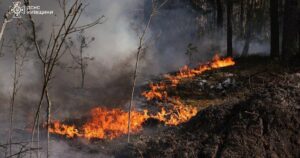 У Чорнобилі спалахнула гігантська пожежа: у вогні понад 1000 гектарів, загасити не вдається (фото)