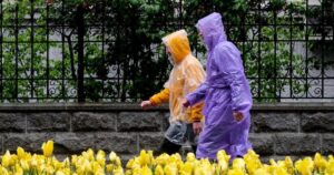 Негода в Україні: Готуємо парасольки! Грози та дощі накривають країну