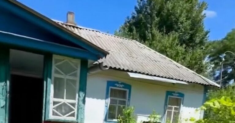 Відважний Переїзд: Як Українці Купили Будинок за 5000$ і Знайшли Справжню Свободу в Селі!