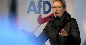 "Не можна штрикати ведмедя в око": німецька політикиня накинулась на Україну через удари по РФ
