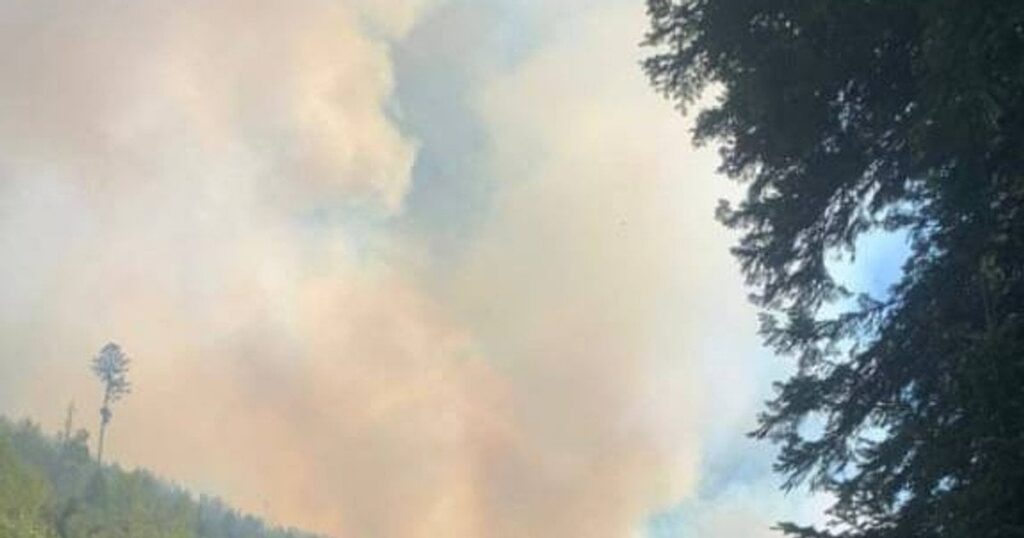 На Закарпатті не можуть загасити масштабну лісову пожежу: вогонь поширюється (фото, відео)