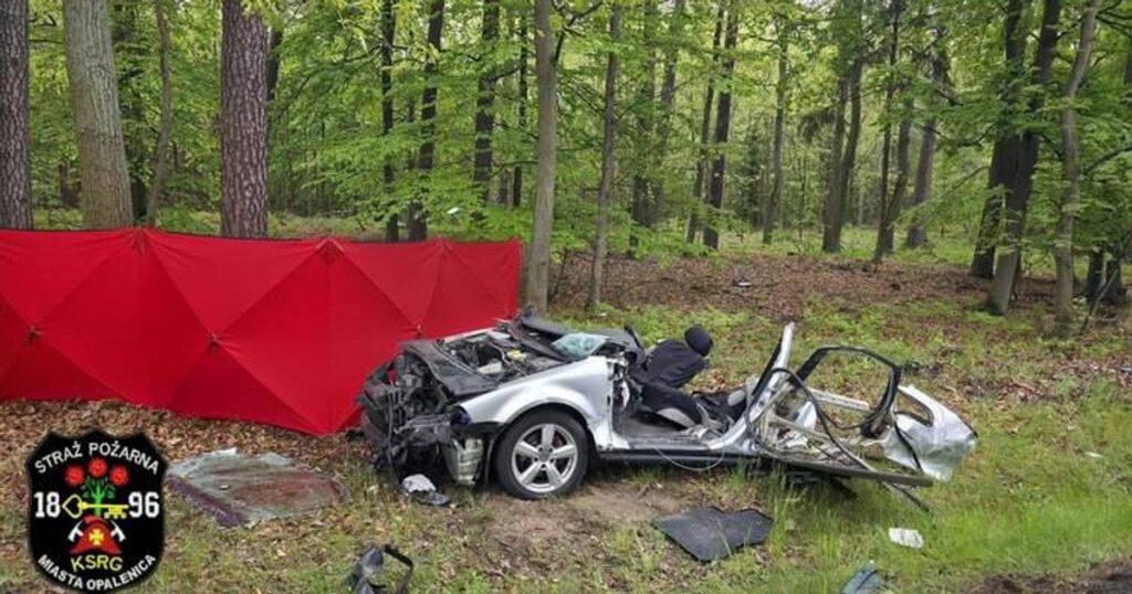 ДТП у Польщі – загинули двоє українців, поліція виявила важливу деталь про водія — Світ