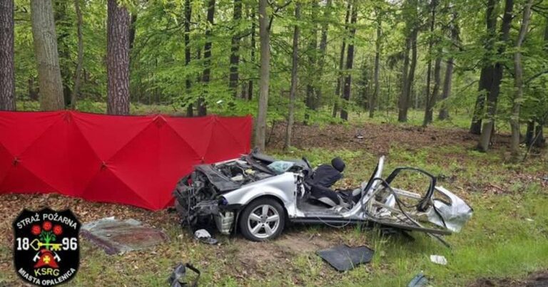 Трагічна ДТП у Польщі: двоє українців загинули, водій мав заборону на керування авто