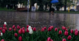 Розділена Погода на Вихідні: Грози, Град та Сонячні Промені в Україні