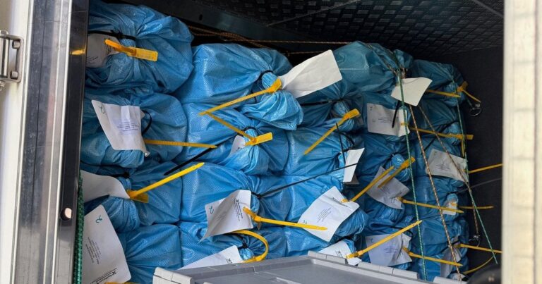 Угорщина Повертає Вкрадені Мільйони: Ощадбанк Похизується 40 Мільйонами Доларів, 35 Мільйонами Євро та 9 Кілограмами Золота!