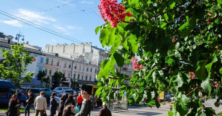 Київ на порозі літньої спеки: синоптики попереджають про небезпеку та різку зміну погоди!
