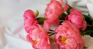 Київський Ажіотаж на День Матері: Скільки Коштує Щирий Букет Любові