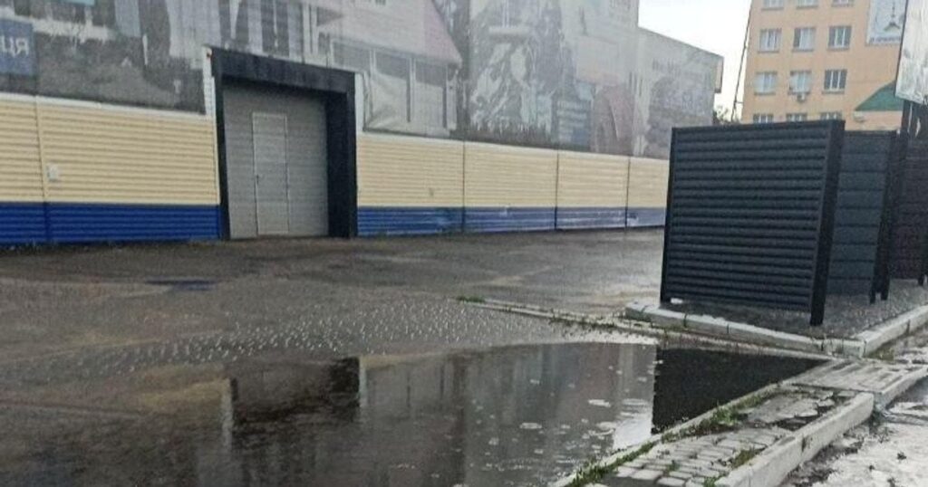 Повалені дерева, затоплені вулиці та град: три обласні центри України накрила негода (відео) Повалені дерева, затоплені вулиці та град: три обласні центри України накрила негода (відео)