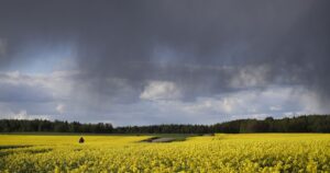 Негода на Заході України: Очікуйте Грози, Град та Шквальний Вітер 16 Травня!