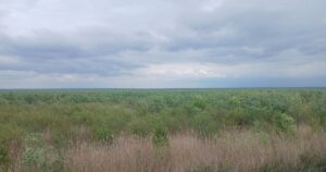 Побачили "марсіанські" пейзажі: академік НАНУ розповів про майбутнє Каховського водосховища